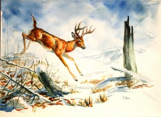 8-Point Whitetail Buck by John Peyton